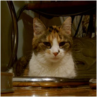 Agatha